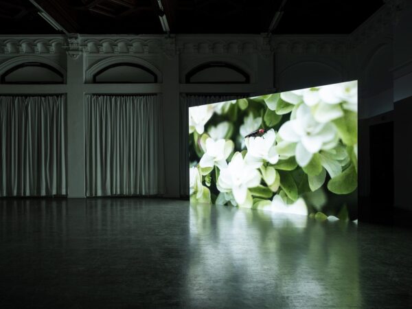 Veranstaltung-Vorschaubild zu 